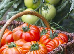 Besoin d&rsquo;id&eacute;es